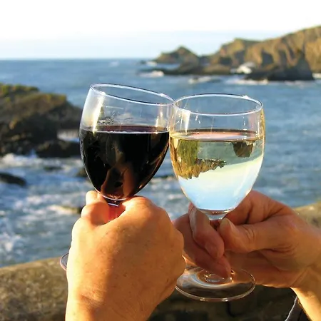 Lejlighed Vinka Orebić